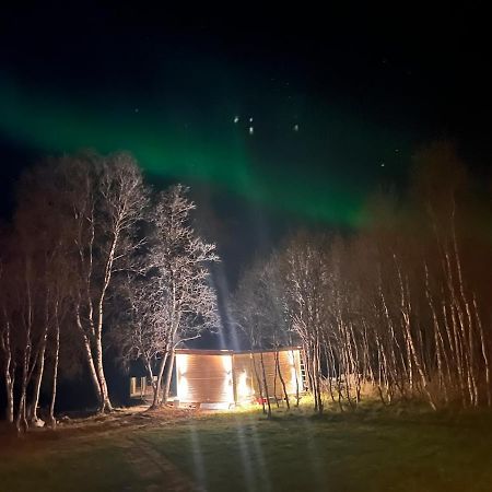 Cottage With Good Standard Next To Neiden River Exteriör bild