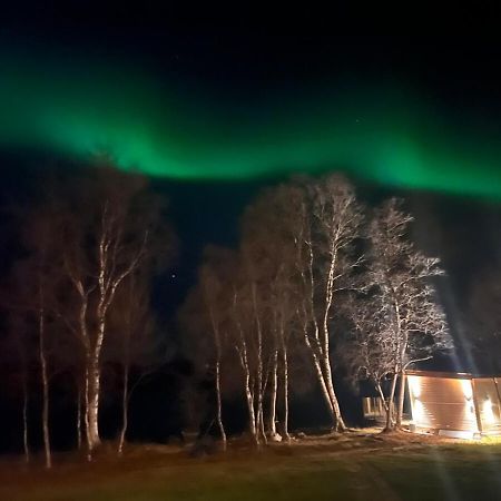 Cottage With Good Standard Next To Neiden River Exteriör bild