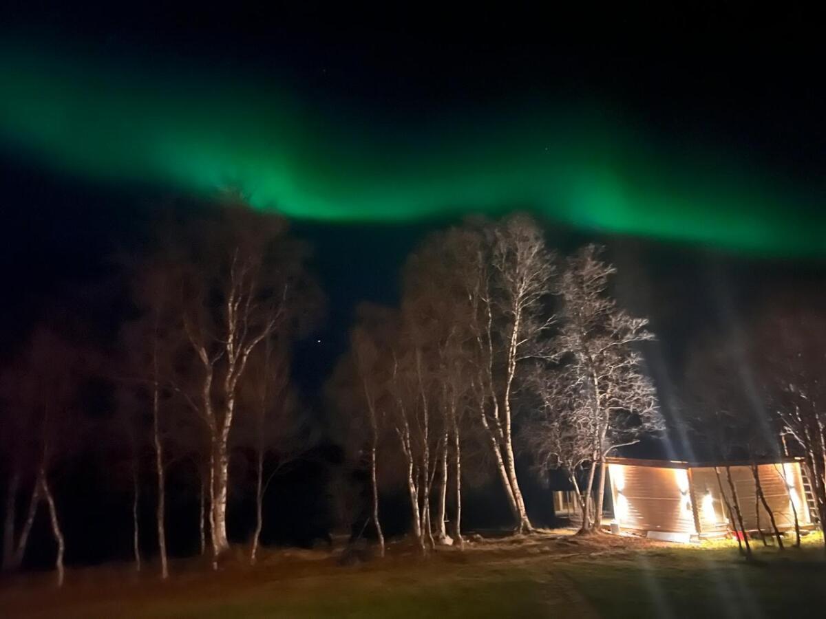 Cottage With Good Standard Next To Neiden River Exteriör bild